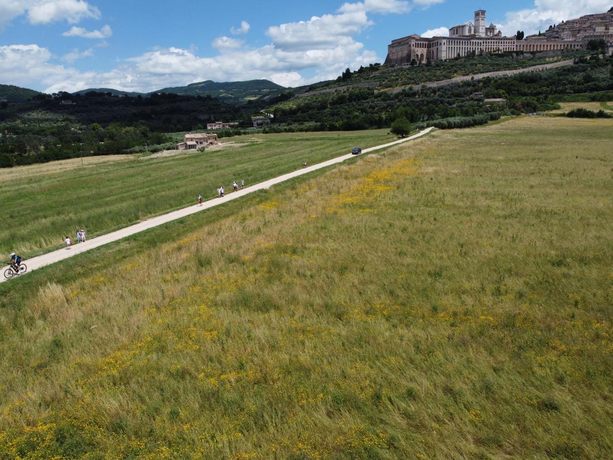 Agriturismo Molinella 阿西西 外观 照片